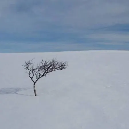 Feriehus Arctic House By The Sea, Vadso, Varanger Vadsø